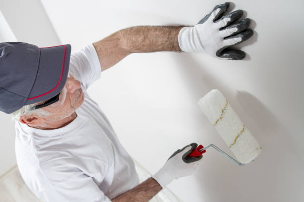 Best Post-Construction Mold Inspection  in Kapolei, HI