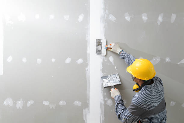 Best Emergency Mold Remediation  in Kapolei, HI