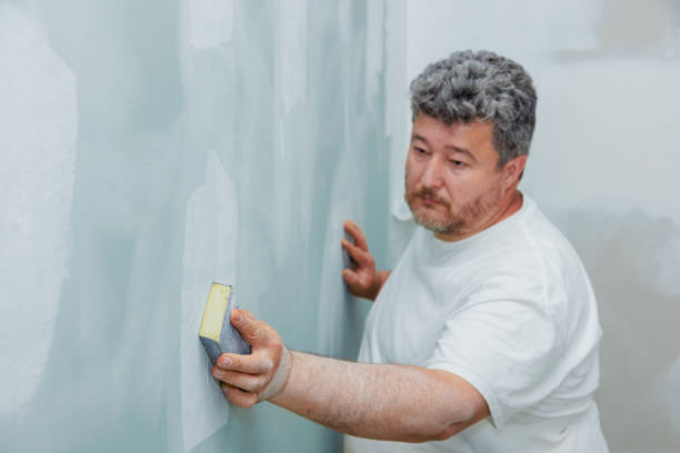 Best Mold-Related Health Consultation  in Kapolei, HI